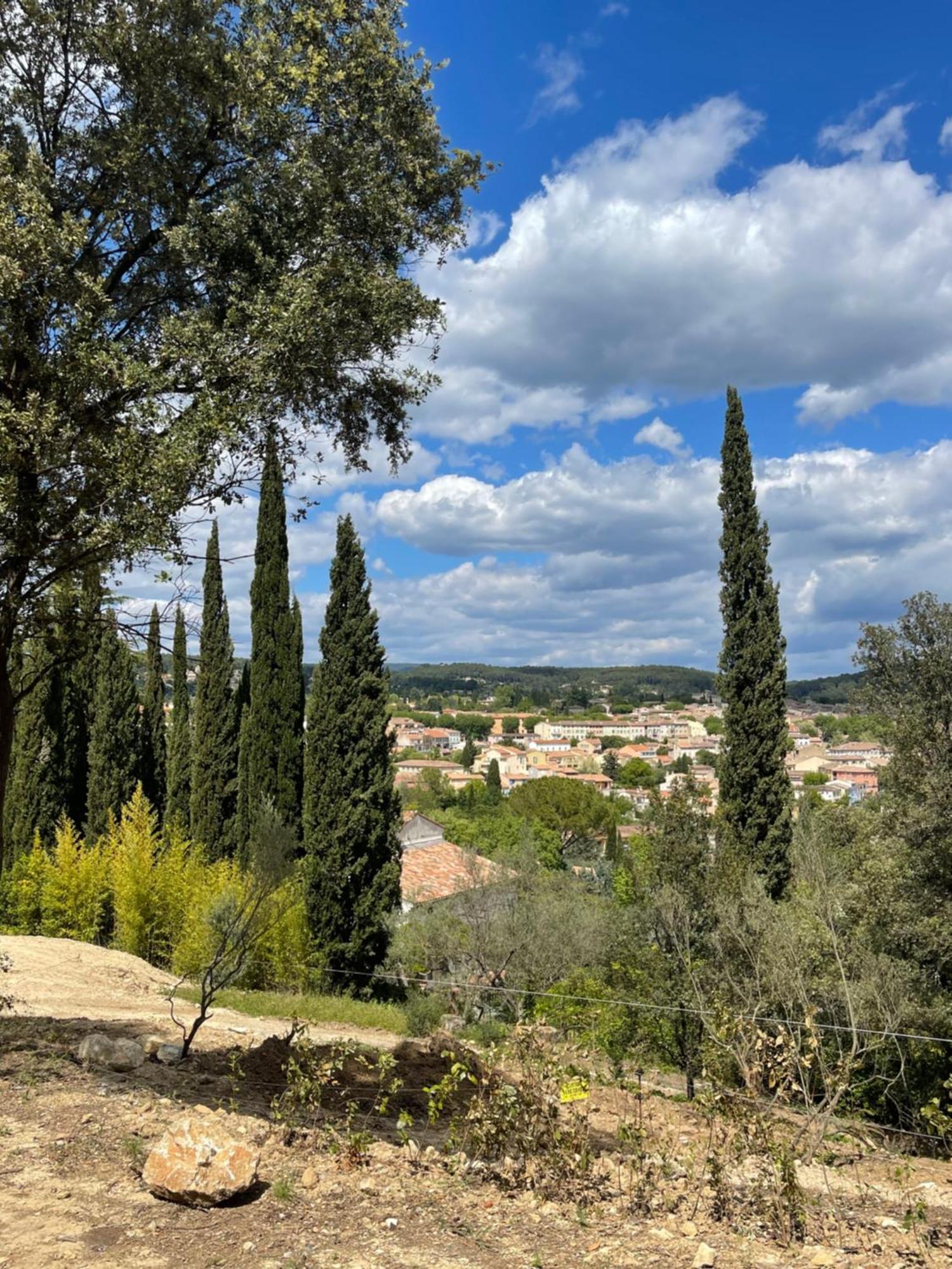 Apartment Reves De Pampa Casa Boheme Lorgues